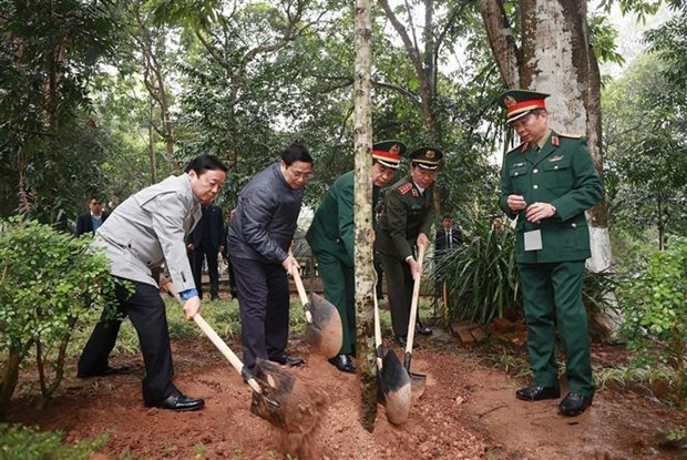 Premier vietnamita lanza siembra de arboles por motivo del Tet 2023 hinh anh 3