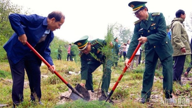 Lanzan en zona fronteriza vietnamita movimiento de siembra de arboles hinh anh 1