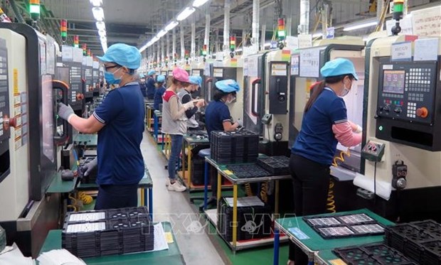Numero de nuevas empresas en Vietnam se reduce casi 17 por ciento hinh anh 1