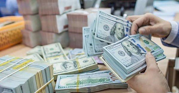 Vietnam emite nuevas normas de compra, transferencia y traslado de divisas al exterior hinh anh 1