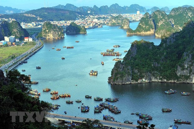 Provincia de Quang Ninh recibe 1,6 millones de turistas en enero hinh anh 1