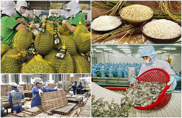Vietnam promueve aplicacion de tecnologia para agricultura sostenible hinh anh 2
