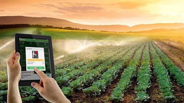 Vietnam promueve aplicacion de tecnologia para agricultura sostenible hinh anh 1