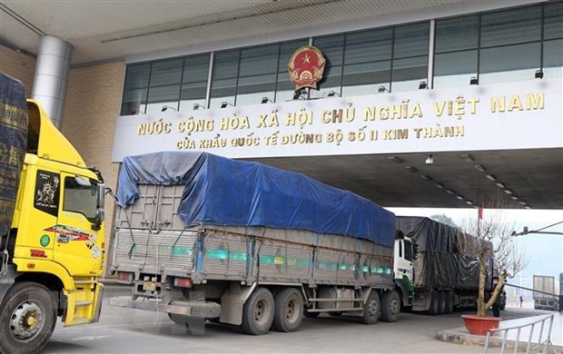 Exportadoras vietnamitas de materiales medicinales a China necesitan registro hinh anh 1