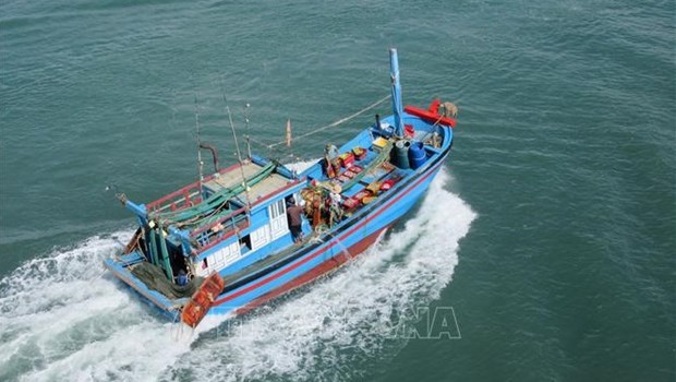 Comision Europea reconoce esfuerzos de Vietnam en combate contra pesca ilegal hinh anh 2