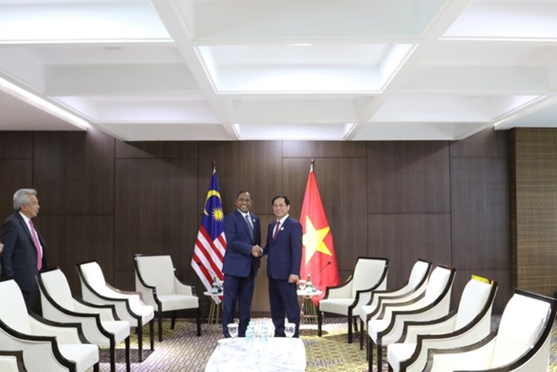 Vietnam patentiza esfuerzos por fomentar lazos con paises en region hinh anh 3