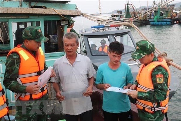 Localidad de Vietnam intensifica lucha contra pesca ilegal hinh anh 1