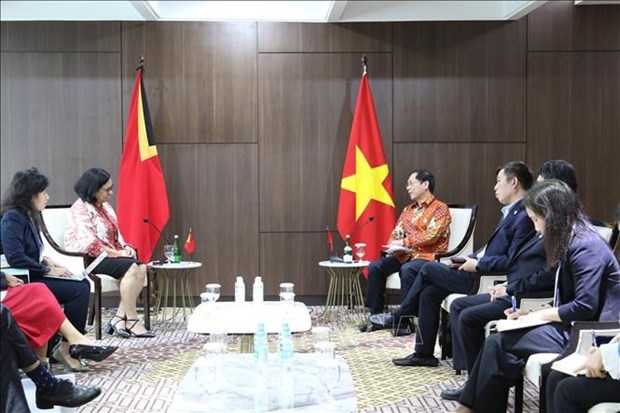 Vietnam apoyara a Timor Leste en su membresia oficial a la ASEAN hinh anh 1