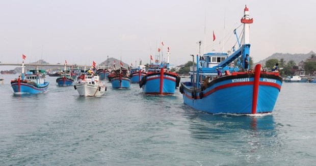 Pescadores vietnamitas se esfuerzan por el levantamiento de “tarjeta amarilla” hinh anh 1