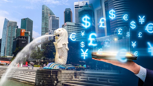 Singapur - puerta de entrada al mercado digital regional para empresas de Vietnam hinh anh 1