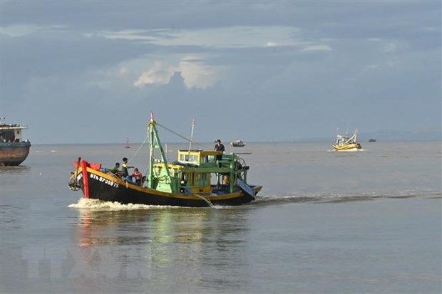 Provincia vietnamita de Binh Thuan refuerza lucha contra pesca ilegal hinh anh 1
