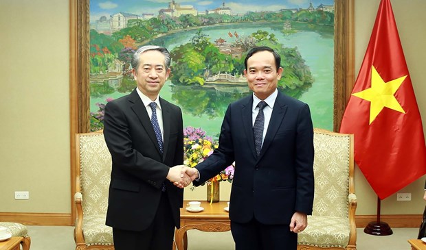 Viceprimer ministro Tran Luu Quang recibe a embajador chino en Vietnam hinh anh 1