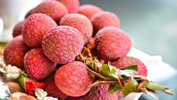 Australia, un mercado receptor importante de frutas vietnamitas hinh anh 1