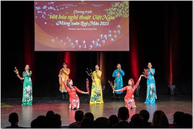 Vietnamitas en Hungria celebran programa artistico hinh anh 1