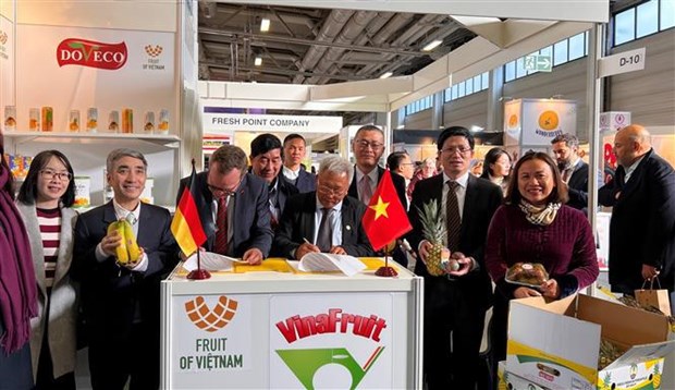 Empresas vietnamitas buscan oportunidades en Fruit Logistica 2023 hinh anh 1