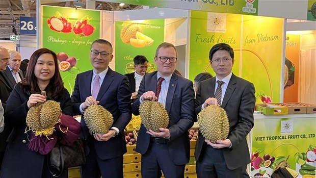 Empresas vietnamitas buscan oportunidades en Fruit Logistica 2023 hinh anh 2