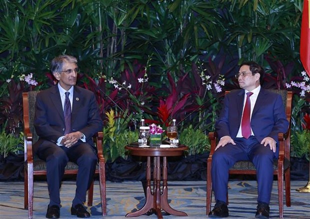 Premier de Vietnam recibe a empresas lideres de Singapur hinh anh 3