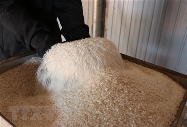 Provincia vietnamita exporta primer lote de arroz organico a Europa hinh anh 1