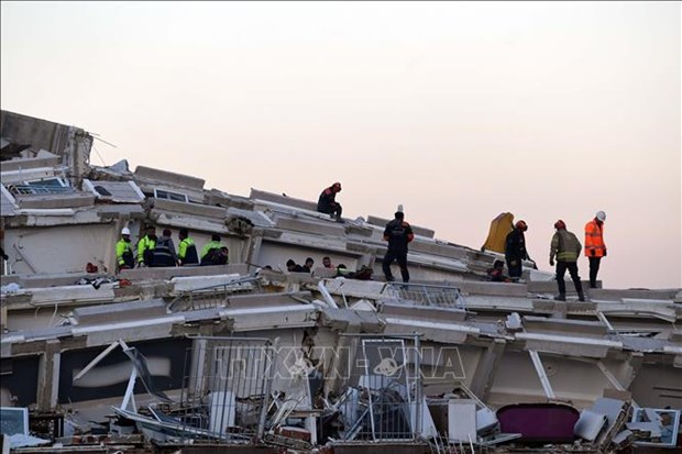 Extienden condolencias a vietnamitas afectados por terremoto en Turquia hinh anh 1