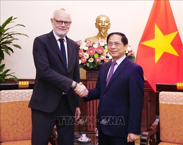Vietnam otorga importancia de fomentar cooperacion con Francia, afirma canciller hinh anh 1