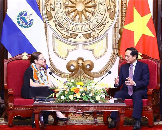Vietnam y El Salvador buscan medidas para promover relaciones bilaterales hinh anh 1
