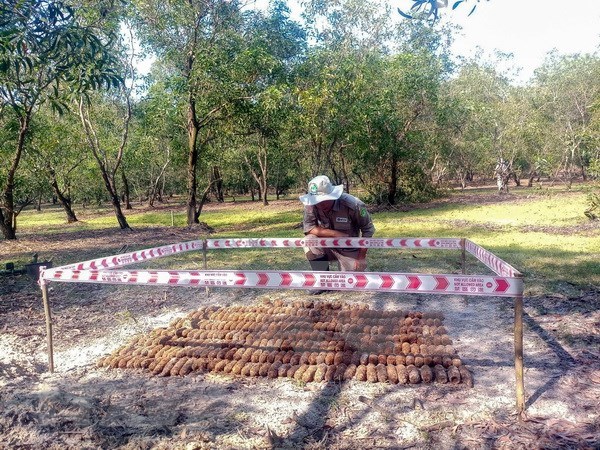 Provincia vietnamita de Quang Tri destruye 299 artefactos explosivos hinh anh 1