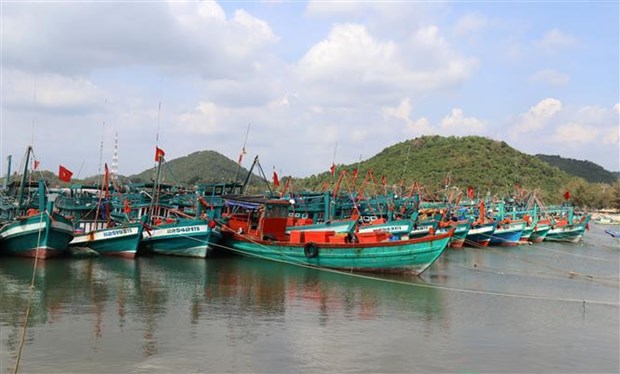 Vietnam emite Plan de accion para combatir pesca ilegal hinh anh 1