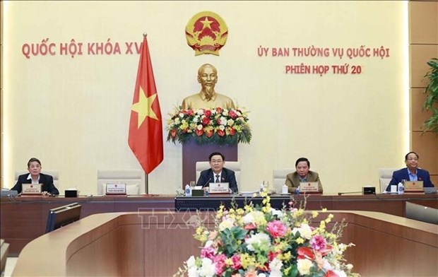 Clausura Comite Permanente del Parlamento vietnamita su 20ª reunion hinh anh 1