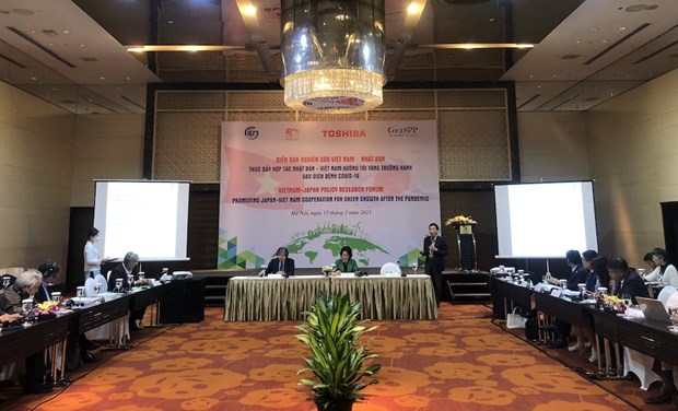 Vietnam y Japon fortalecen cooperacion hacia crecimiento verde hinh anh 1