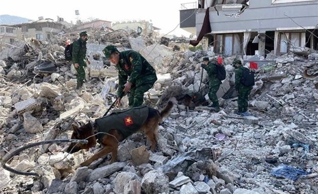 Socorristas vietnamitas agilizan busqueda de victimas del terremoto en Turquia hinh anh 1