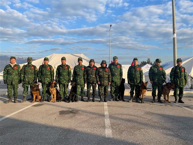 Perros rastreadores de Vietnam logran resultados positivos en rescate en Turquia hinh anh 1