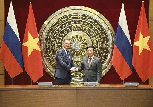 Promueven Vietnam y Rusia cooperacion parlamentaria hinh anh 1