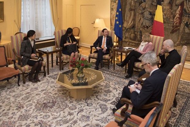 Dirigente parlamentaria belga otorga importancia a nexos con Vietnam hinh anh 1