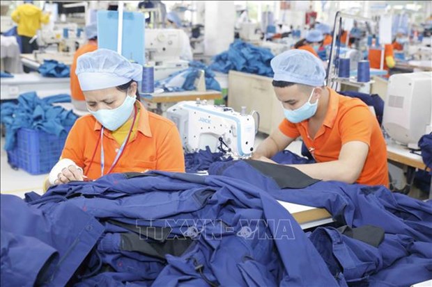 Vietnam acelera exportaciones de textiles este ano hinh anh 1