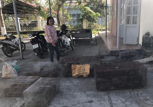 Provincia vietnamita detecta caso de comercio ilegal de animales salvajes hinh anh 1