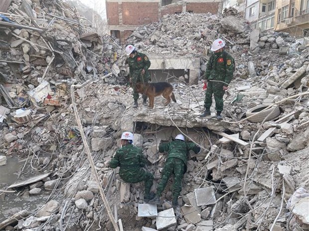 Socorristas vietnamitas siguen localizando otras victimas de terremoto en Turquia hinh anh 2