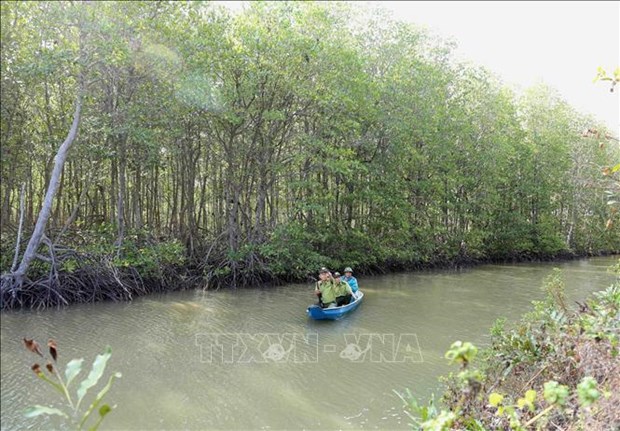 Provincia vietnamita desarrollara 171 hectareas adicionales de bosques en 2023 hinh anh 1