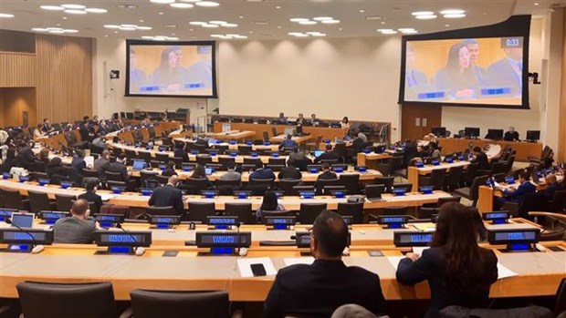 Vietnam asiste a sesiones ordinarias del Comite Especial de la Carta de ONU hinh anh 2