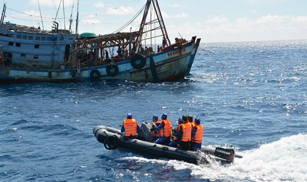 📝 Enfoque: Vietnam implementa drasticas medidas contra pesca ilegal hinh anh 4