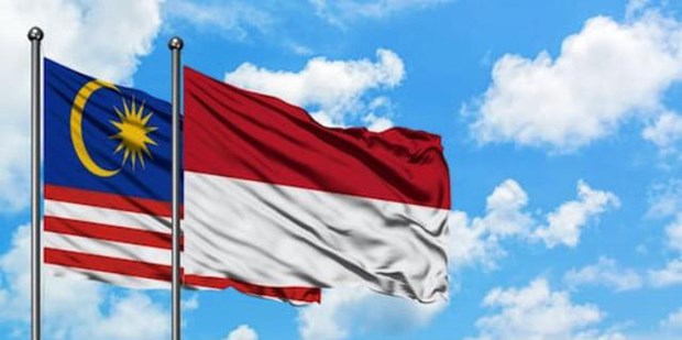 Indonesia y Malasia intensifican cooperacion en transporte hinh anh 1