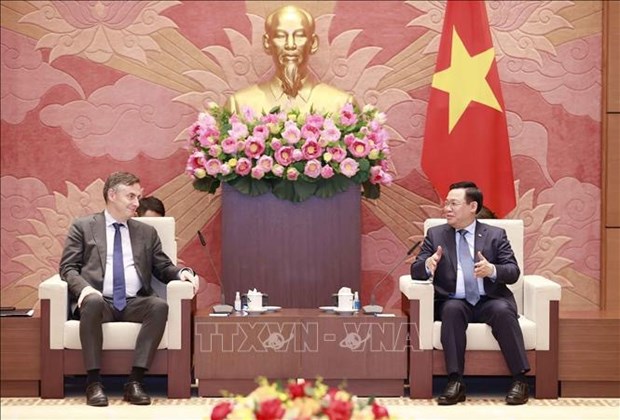 Union Europea, socio importante en la politica exterior de Vietnam hinh anh 1
