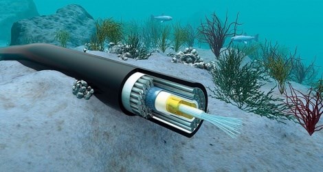 Se pondran en funcionamiento mas cables submarinos nuevos en Vietnam hinh anh 1