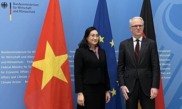 Vietnam y Alemania organizan segunda reunion de Comite Mixto de Cooperacion Economica hinh anh 1