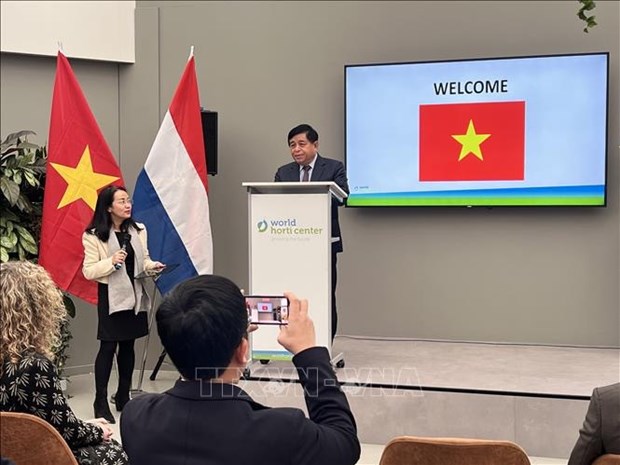Vietnam y Paises Bajos fortalecen cooperacion en agricultura inteligente hinh anh 1