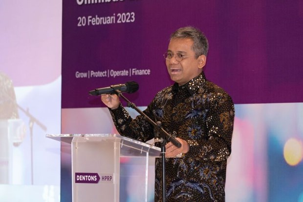 Indonesia impulsa reforma de sector financiero hinh anh 1