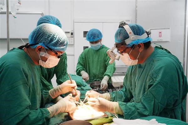 Doctores vietnamitas beneficiaron a muchos pacientes con trasplantes de organos hinh anh 1