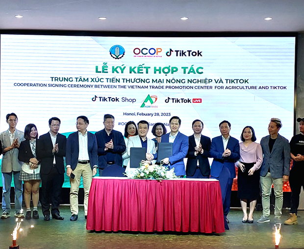 Impulsan transformacion digital en comercio de OCOP de Vietnam hinh anh 1