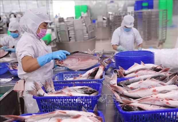 China vuelve a ser mayor importador de productos agrosilvicolas y acuicolas de Vietnam hinh anh 2