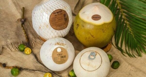 Exportaciones de coco de Vietnam superaran mil millones de dolares en los proximos anos hinh anh 1