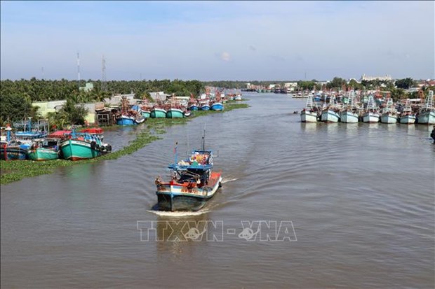 Provincia vietnamita fomenta lucha contra la pesca ilegal hinh anh 1